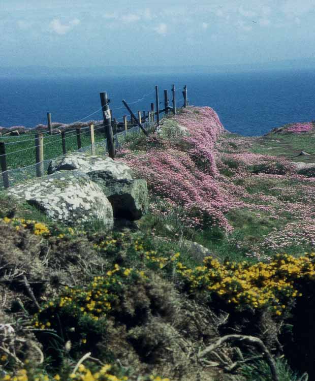 coast trail